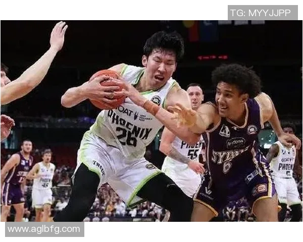 重庆篮球队灵活性引发热议球迷与专家的不同看法分析