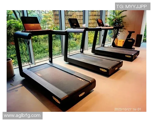 高档健身器材：高端健身器材的设计、性能与品牌推荐